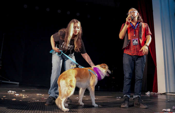 PERRO CALLEJERO 15